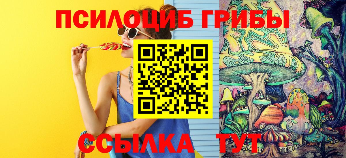 Псилоцибиновые грибы мицелий  наркота  Вход с VPN  Пенза  Галлюциногенные грибы мицелий 